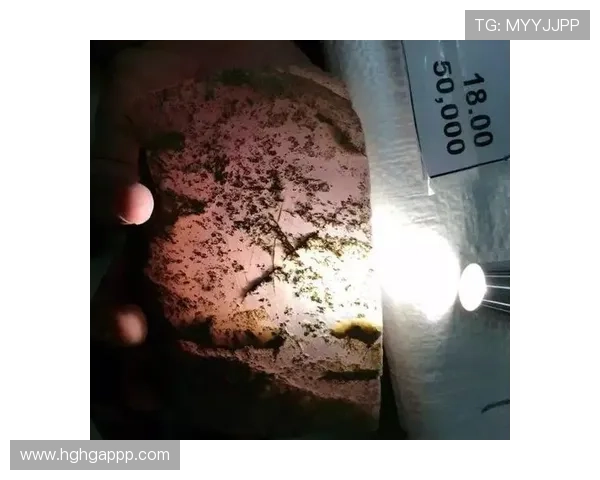 翡翠直播七七：揭秘原石到精品的华丽蜕变